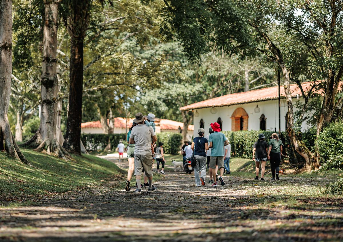 Un grupo de visitantes camina entre árboles hacia una casa blanca de teja