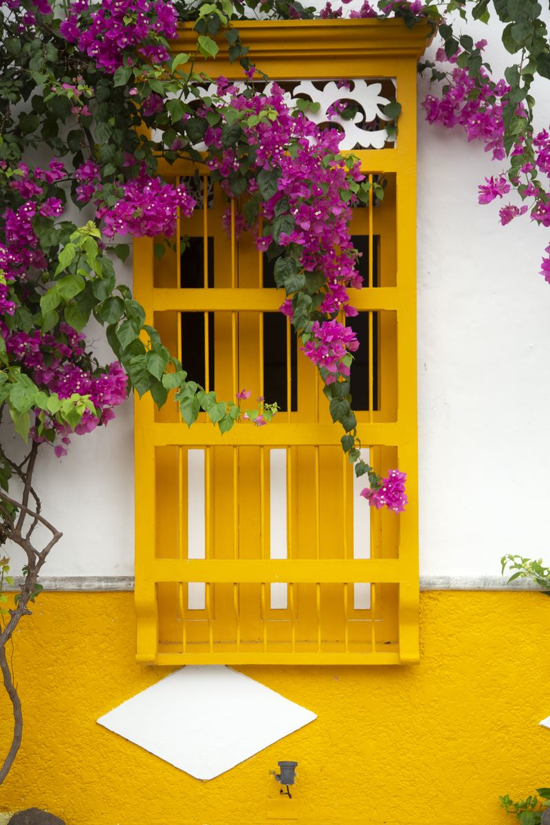 Una ventana amarilla con una buganvilia morada en una casa blanca